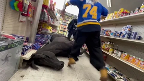 Beating A Dead Horse GIF by 100 gecs