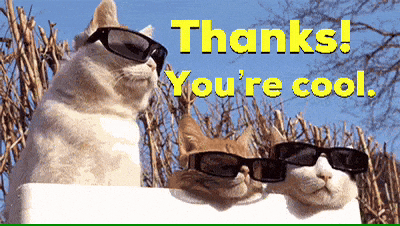 funny thank you cat pictures