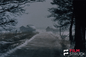 ingmar bergman 80s GIF by FilmStruck
