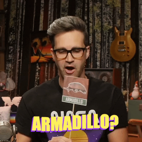 confused armadillo GIF by Rhett and Link