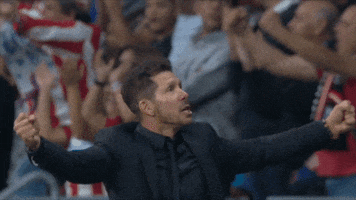 Celebrate Diego Simeone GIF by Atlético de Madrid