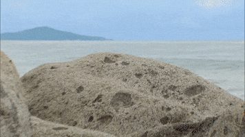 Surprise Abc GIF by Bachelor in Paradise