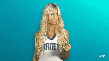 Happy Honey Bees GIF by Charlotte Hornets