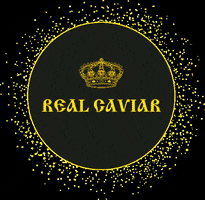 RealCaviarBarcelona caviar realcaviar real caviar culturadelcaviar GIF