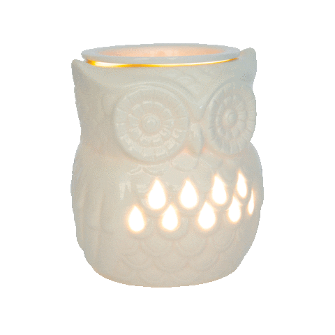 An animated image of 12