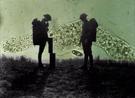 War Art GIF