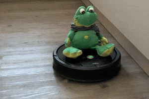 Frog Vacuum GIF