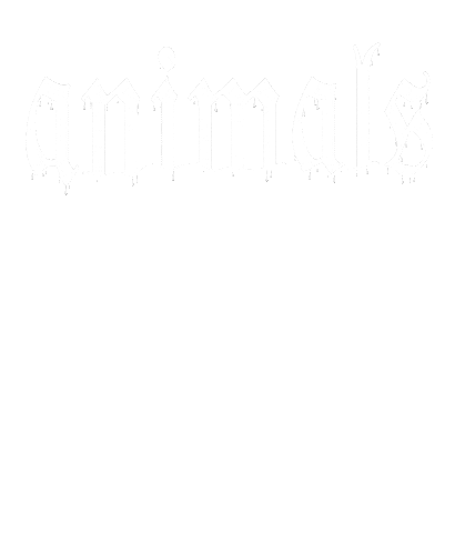 Typography Call Me Karizma Sticker