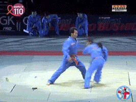 martial arts judo GIF