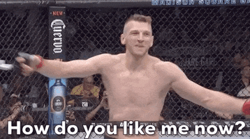 How You Like That GIF by UFC