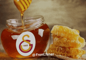 Galatasaray Sarı GIF