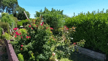 Castles GIF