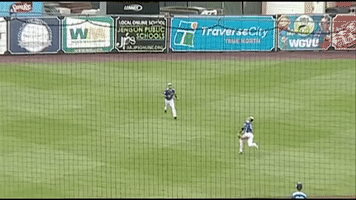Baseball Catch GIF by West Michigan Whitecaps 