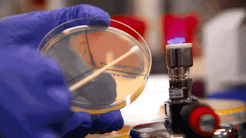Lab Stem GIF by College of Natural Sciences, UT Austin