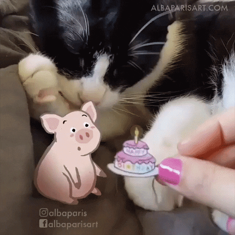 Happy Birthday Cat GIF by Alba Paris
