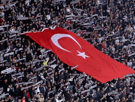 Turk Tribun GIF by Besiktas JK