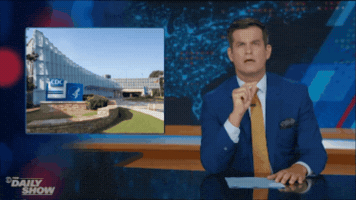 GIF by The Daily Show