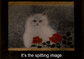 200.gif?cid=fc005b08a69722e000ffd51a76345ec3ef6a5d0e795893db&rid=200.gif&ct=g