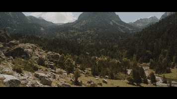 200.gif?cid=fc005b08d92d6a1e01a65fe90aa2ab35763556dcb2867098&rid=200.gif&ct=g