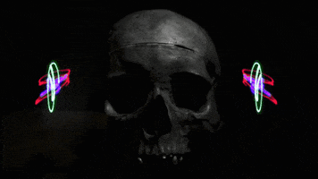 double exposure skull GIF by Baroness