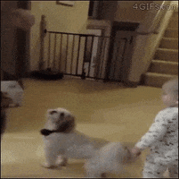 Dancing GIF by MOODMAN