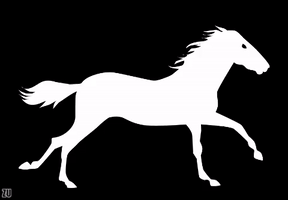 Horse Running GIF