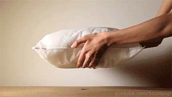Pillow Magnet GIF - Find & Share on GIPHY