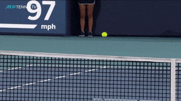 miami rules GIF by Tennis TV