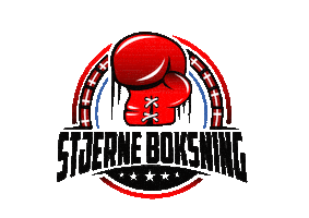 Stjerne Boksning Sticker