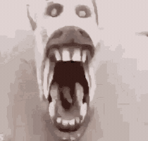 Troll Fish GIF