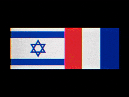 France Morocco GIF
