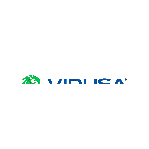 VIDUSA Sticker
