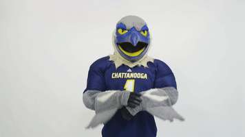 Utc Thumbs Up GIF by The University of Tennessee at Chattanooga