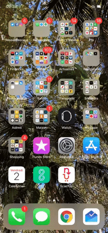 Animated GIF
