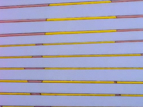 spy watching GIF
