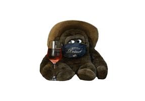 200.gif?cid=fc005b08d4e0a58a5dfb389743923b96e9390e22e57092c1&rid=200.gif&ct=g