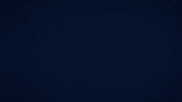 Le Voci Online GIF
