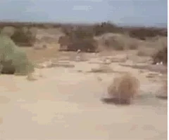 https://media1.giphy.com/media/1Zbeweu52ZaQE/200.webp?cid=790b76115ccd7fa3676c65645584757e&rid=200.webp