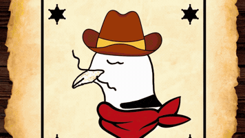 Wild West Cowboy GIF by Dovemania!