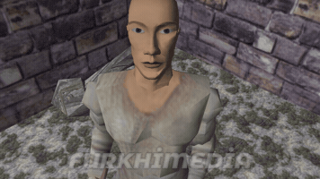 Mount And Blade Warrior GIF