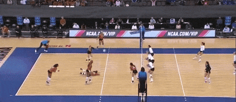 Volleyball Texas GIF by NCAA Championships