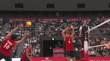 United States Jump GIF by Volleyball World
