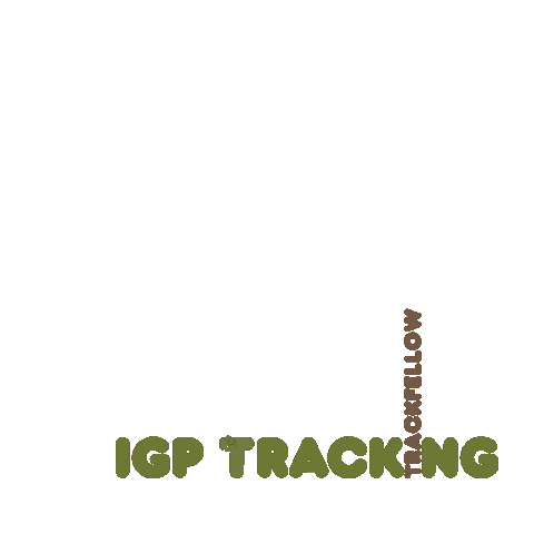 Igp Sticker by Trackfellow