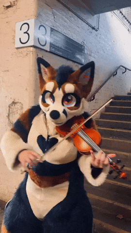 Violin Busking GIF
