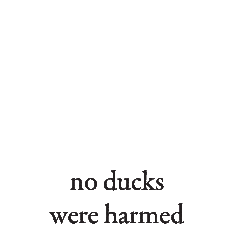 Duck Sticker by Fossa Chocolate