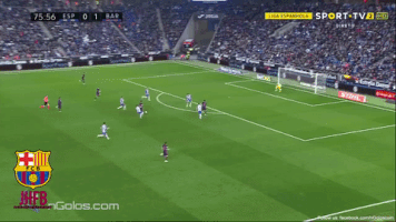 jakubtymcik  GIF