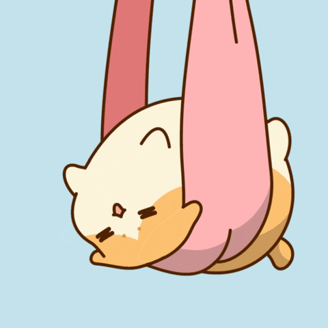 Hanging Upside Down GIF by Bichi Mao
