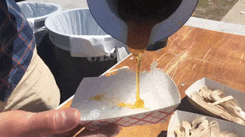 maple syrup GIF by University of Vermont