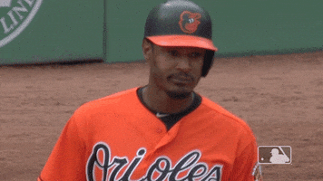Baltimore Orioles Ok GIF by MLB
