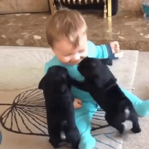 Kid Aww GIF by JustViral